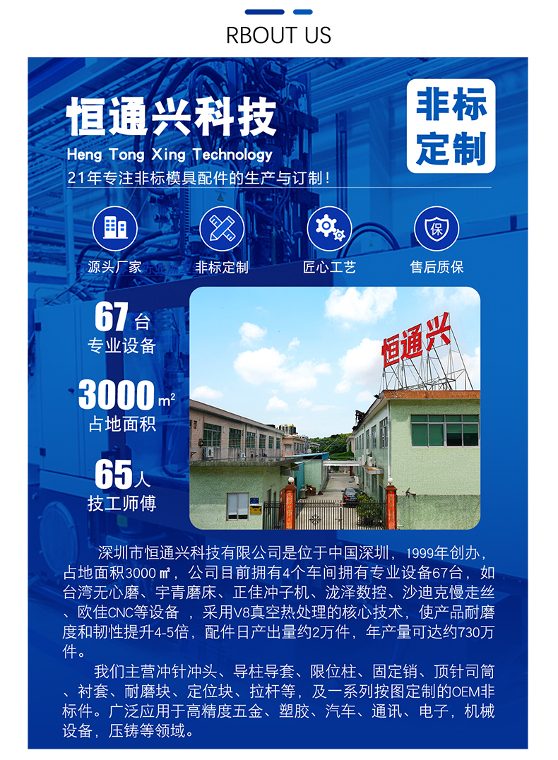 压片冲头厂家恒通兴
